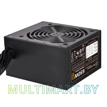 Блок питания SilverStone ET650-B v1.4 650W